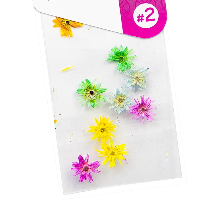 acry love Decoracion para uñas Naturaleza muerta color variado