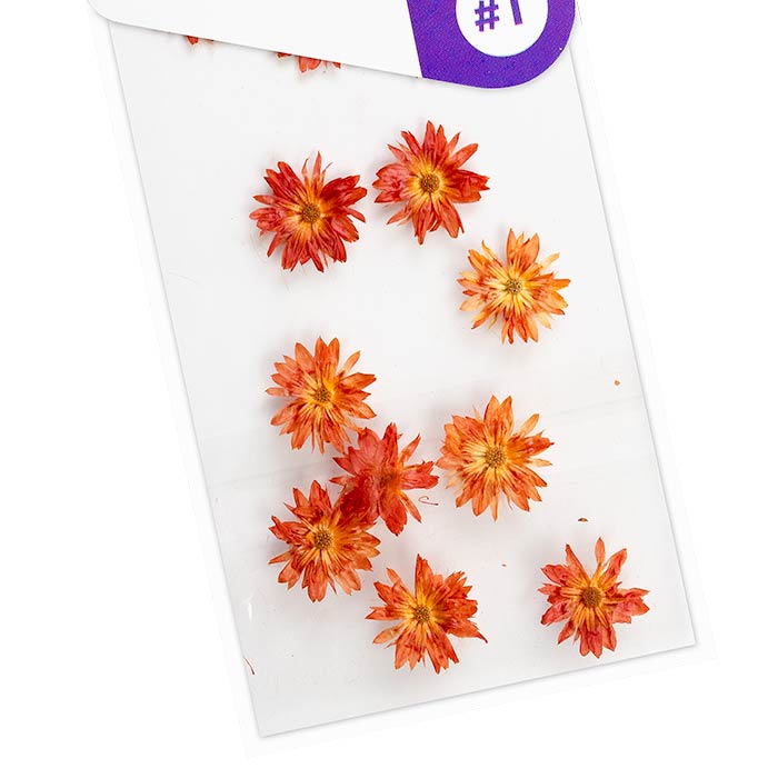 acry love Decoracion para uñas Naturaleza muerta corona naranja, Decoracion para uñas Naturaleza muerta para diseños de uñas acrilicas