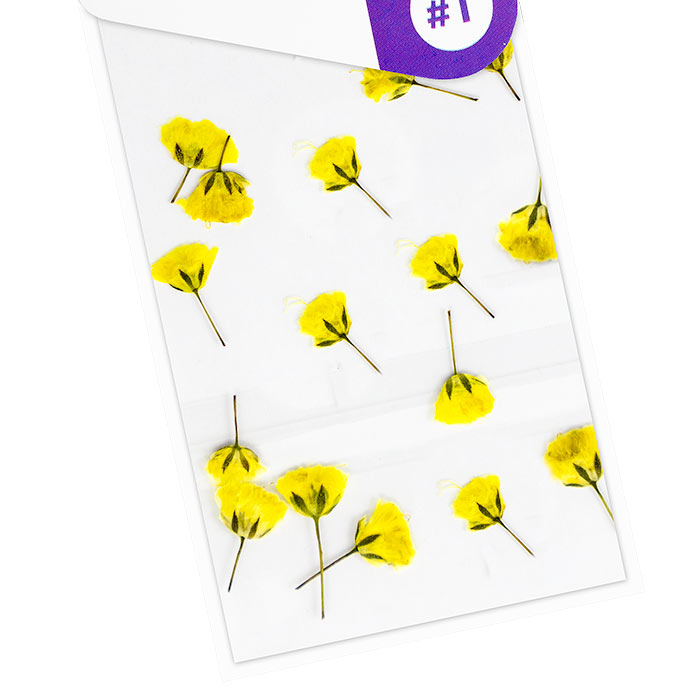 acry love Decoracion para uñas Naturaleza muerta para diseños de uñas acrilicas