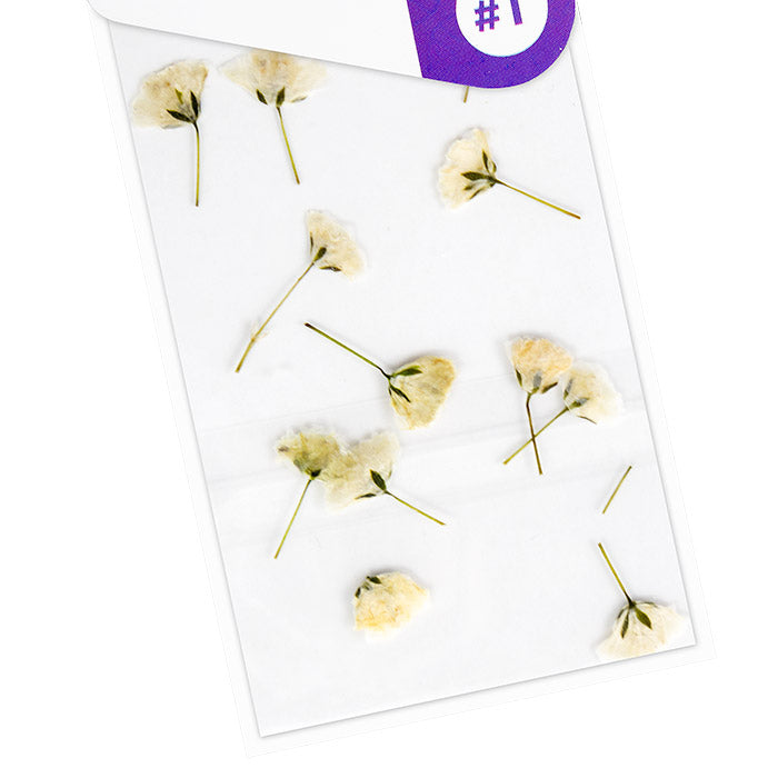 acry love Decoracion para uñas Naturaleza muerta rosa blanca, diseños para uñas acrilicas