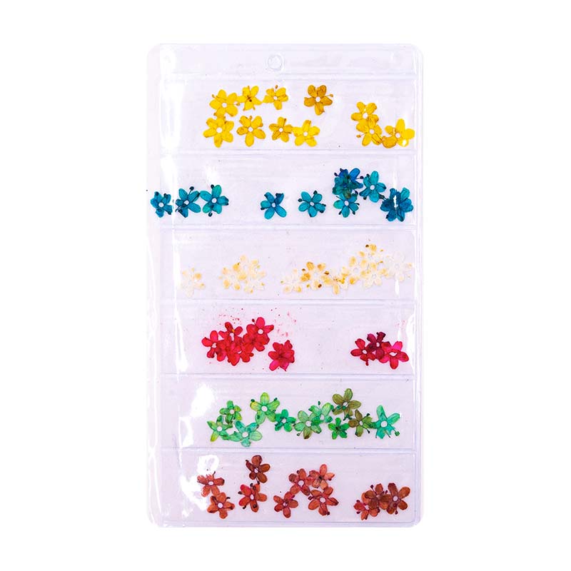 Acry Love Cartera Naturaleza Muerta Decoración para uñas Mix Plana