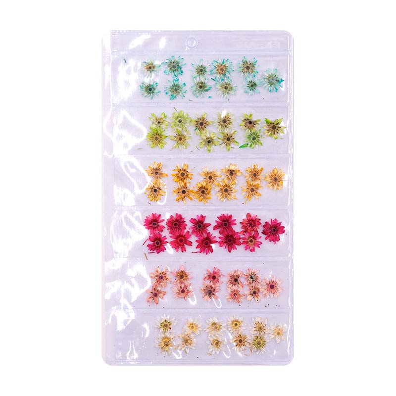 Acry Love Naturaleza Muerta Decoración para unas Mix Flor Girasol