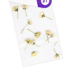 acry love Decoracion para uñas Naturaleza muerta rosa blanca, diseños para uñas acrilicas